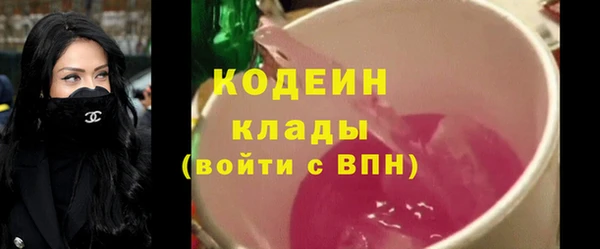 индика Балахна