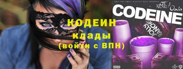 индика Балахна