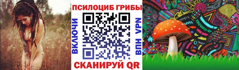 Галлюциногенные грибы Cubensis  купить   Суворов 