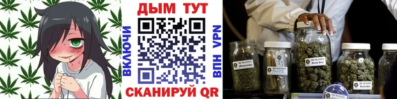 наркотики  Суворов  omg зеркало  Канабис семена 
